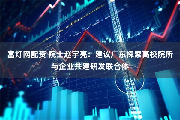 富灯网配资 院士赵宇亮：建议广东探索高校院所与企业共建研发联合体