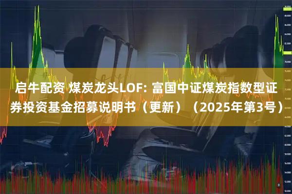 启牛配资 煤炭龙头LOF: 富国中证煤炭指数型证券投资基金招募说明书（更新）（2025年第3号）