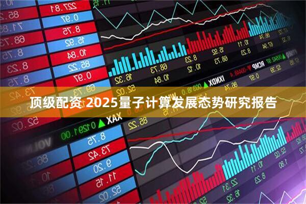 顶级配资 2025量子计算发展态势研究报告