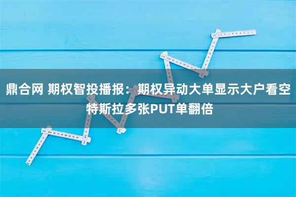 鼎合网 期权智投播报：期权异动大单显示大户看空 特斯拉多张PUT单翻倍