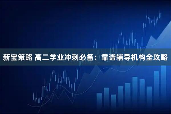 新宝策略 高二学业冲刺必备：靠谱辅导机构全攻略