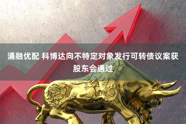 涌融优配 科博达向不特定对象发行可转债议案获股东会通过
