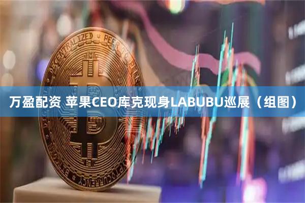 万盈配资 苹果CEO库克现身LABUBU巡展（组图）