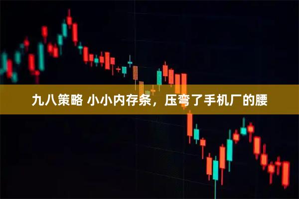 九八策略 小小内存条，压弯了手机厂的腰